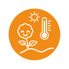 droogte en hittestress